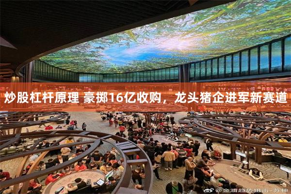 炒股杠杆原理 豪掷16亿收购，龙头猪企进军新赛道