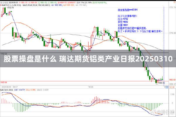 股票操盘是什么 瑞达期货铝类产业日报20250310