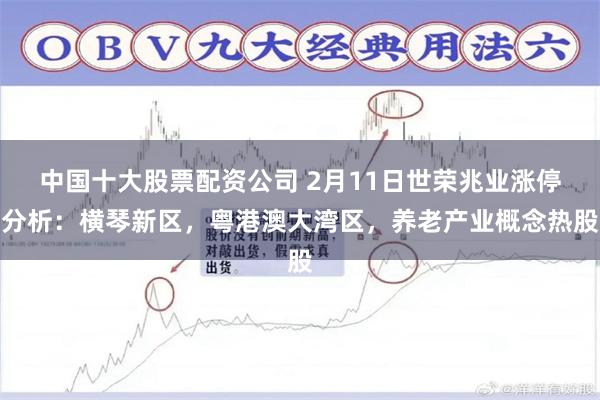 中国十大股票配资公司 2月11日世荣兆业涨停分析：横琴新区，粤港澳大湾区，养老产业概念热股