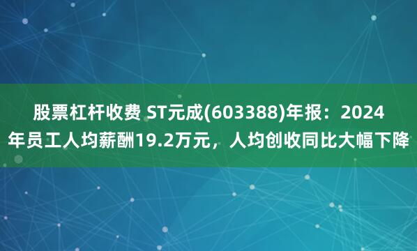 股票杠杆收费 ST元成(603388)年报：2024年员工人均薪酬19.2万元，人均创收同比大幅下降