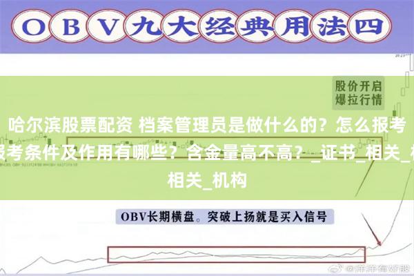 哈尔滨股票配资 档案管理员是做什么的？怎么报考，报考条件及作用有哪些？含金量高不高？_证书_相关_机构
