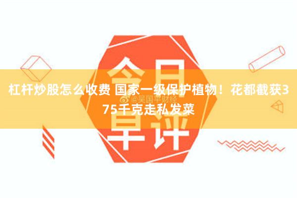 杠杆炒股怎么收费 国家一级保护植物！花都截获375千克走私发菜