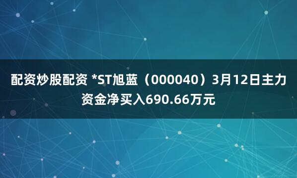 配资炒股配资 *ST旭蓝（000040）3月12日主力资金净买入690.66万元