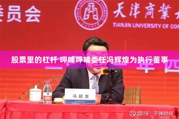 股票里的杠杆 呷哺呷哺委任冯辉煌为执行董事