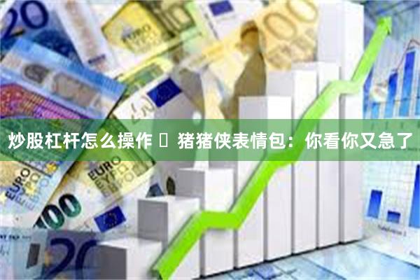 炒股杠杆怎么操作 ๑猪猪侠表情包：你看你又急了